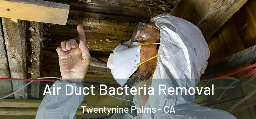 Air Duct Bacteria Removal Twentynine Palms - CA