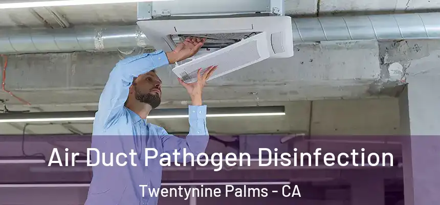 Air Duct Pathogen Disinfection Twentynine Palms - CA