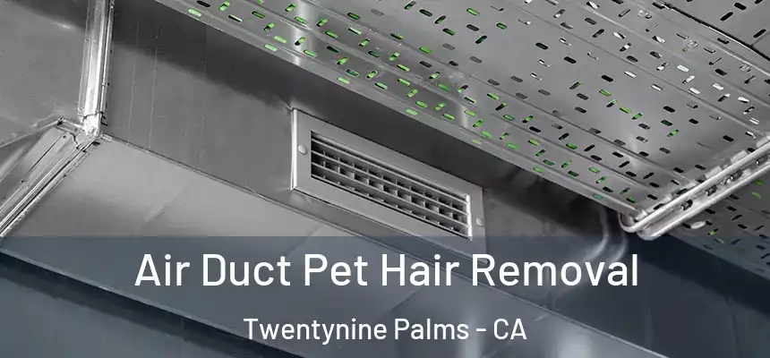  Air Duct Pet Hair Removal Twentynine Palms - CA