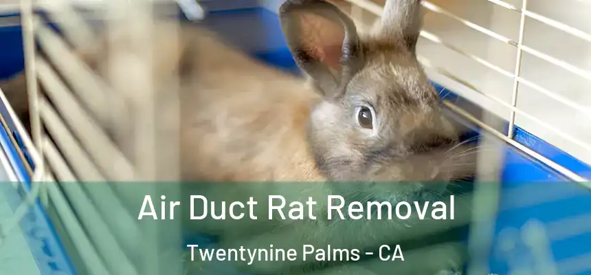 Air Duct Rat Removal Twentynine Palms - CA