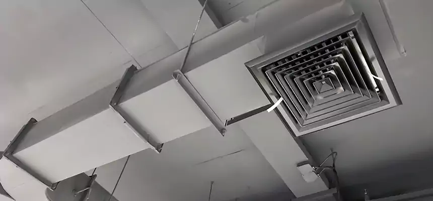 Restorative Allergy Relief Vent Cleaning – Coil, Blower & Housing Detail in Twentynine Palms