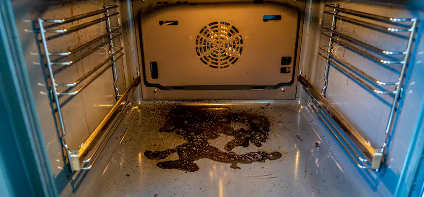 Our Dryer Vent Mold Cleaning Services in Twentynine Palms, CA