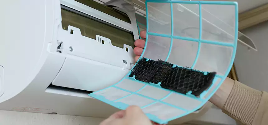 Gentle Ductwork Odor-Control Pet Dander Duct Cleaning in Twentynine Palms, CA