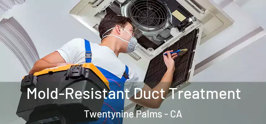 Mold-Resistant Duct Treatment Twentynine Palms - CA