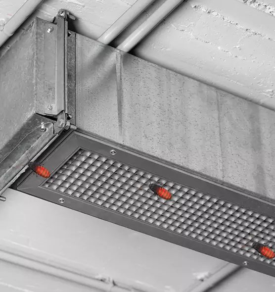 About Air Duct Cockroach Removal in Twentynine Palms, CA