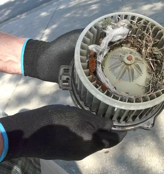 About Air Duct Rat Removal in Twentynine Palms, CA