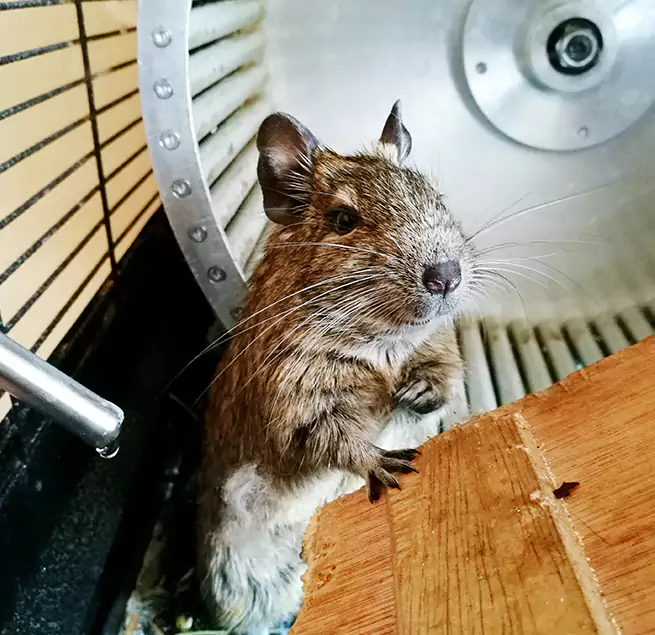 Why Homeowners & Businesses Trust Us Twentynine Palms, CA?